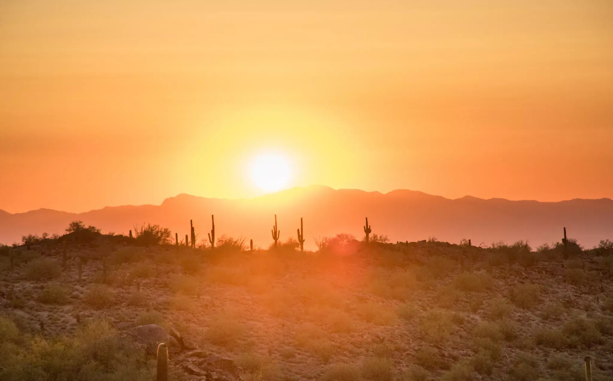 Hazy sun over a job site during extreme heat